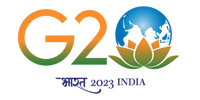 G20 